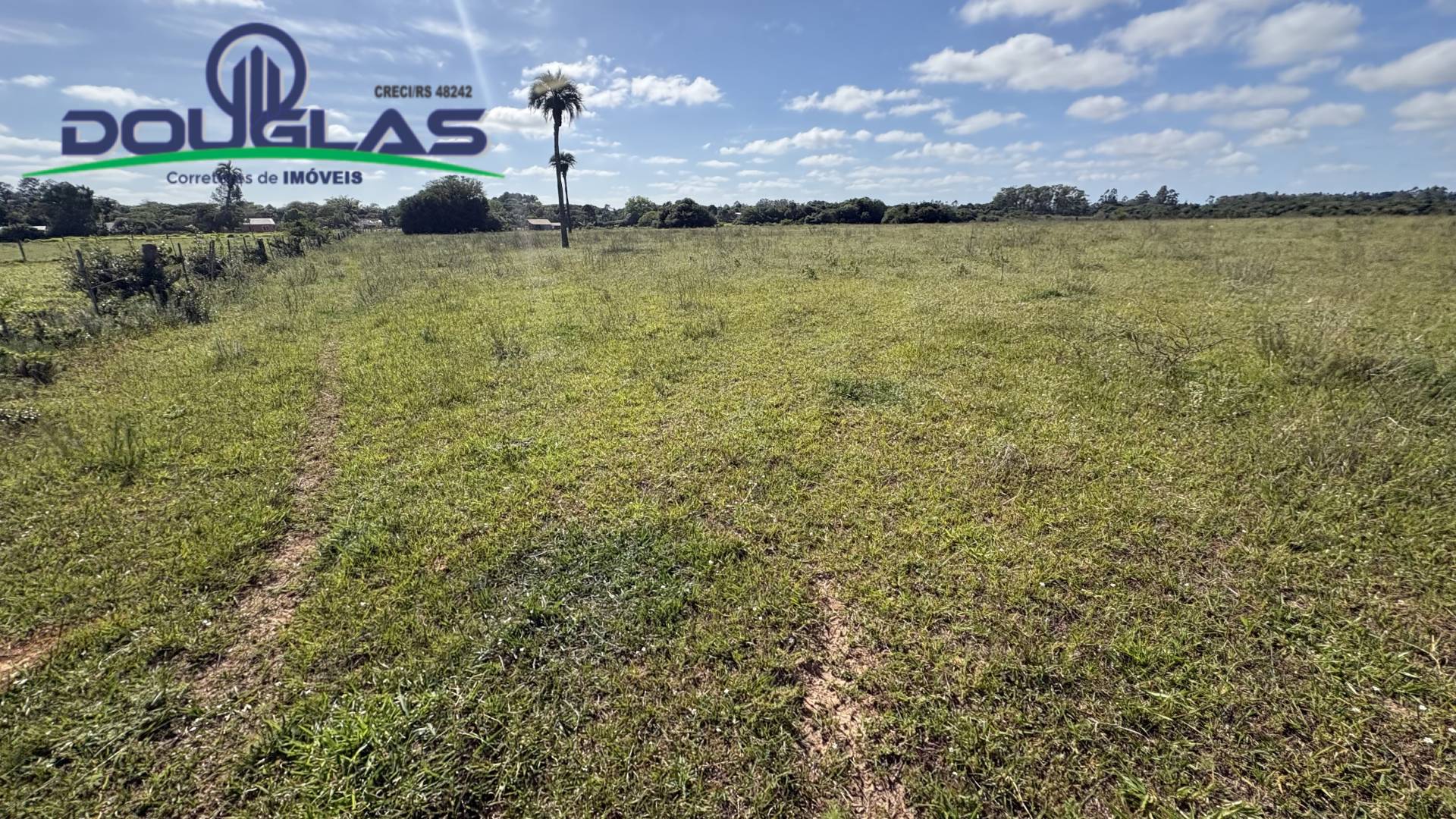 Terreno, 6 hectares - Foto 17