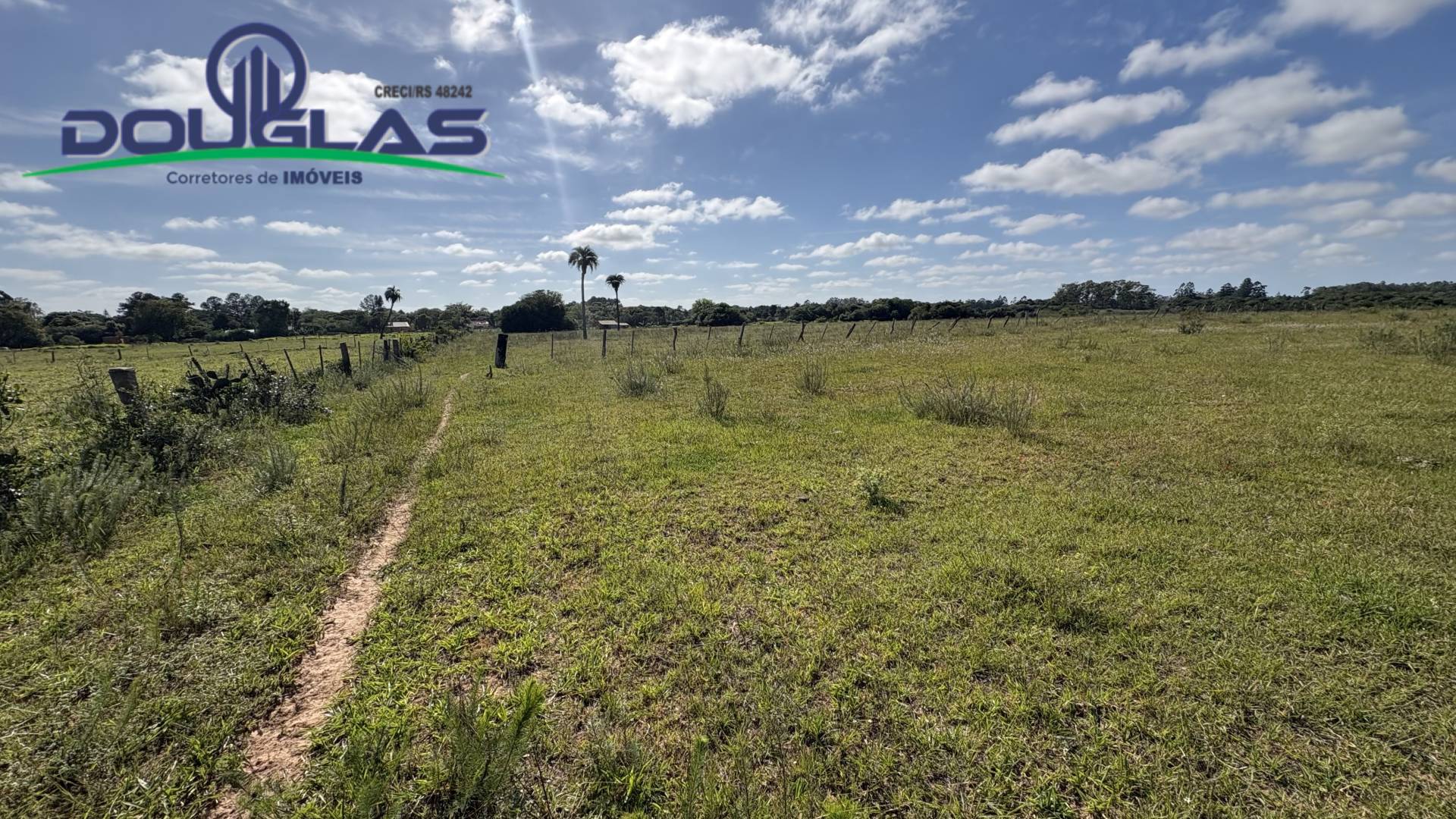 Terreno, 6 hectares - Foto 18