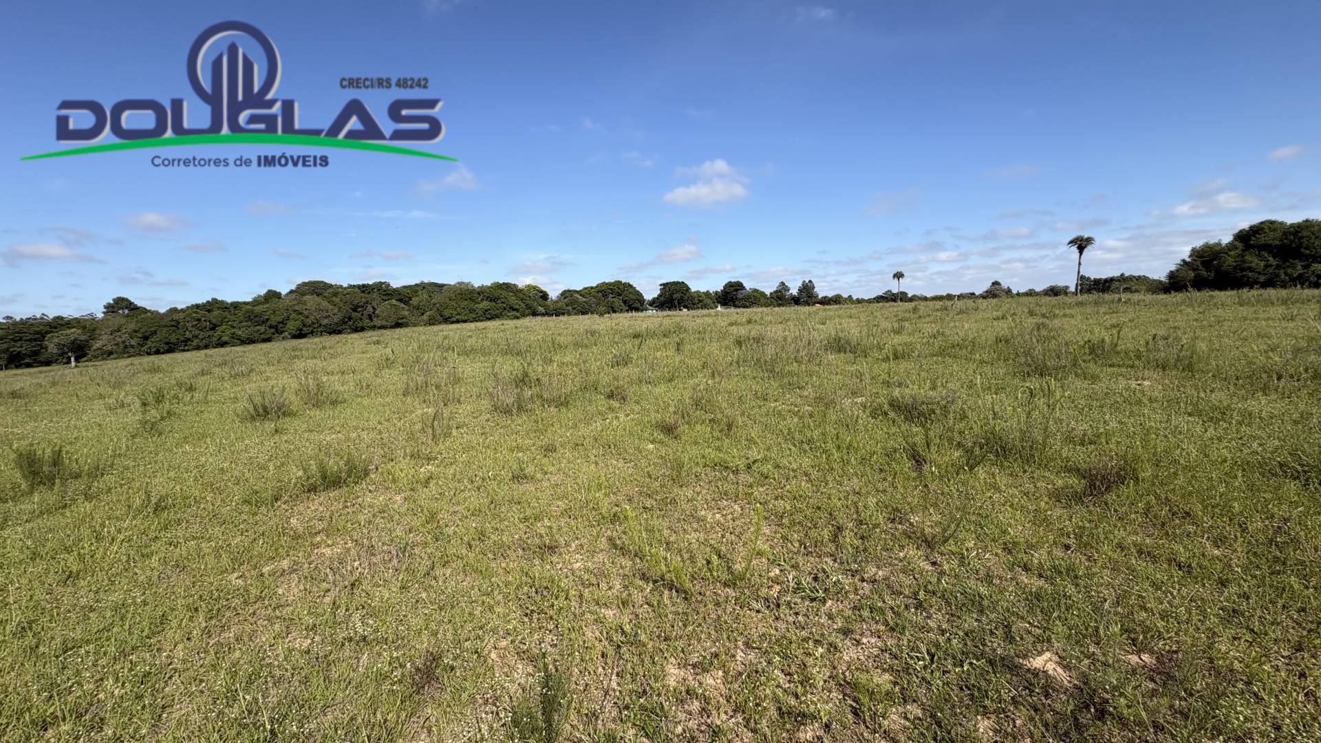 Terreno, 6 hectares - Foto 19