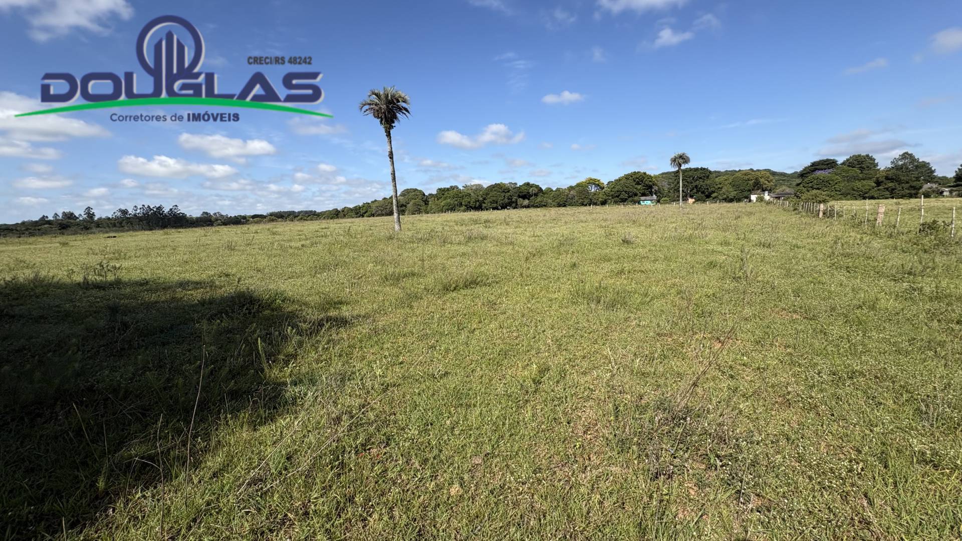 Terreno, 6 hectares - Foto 20