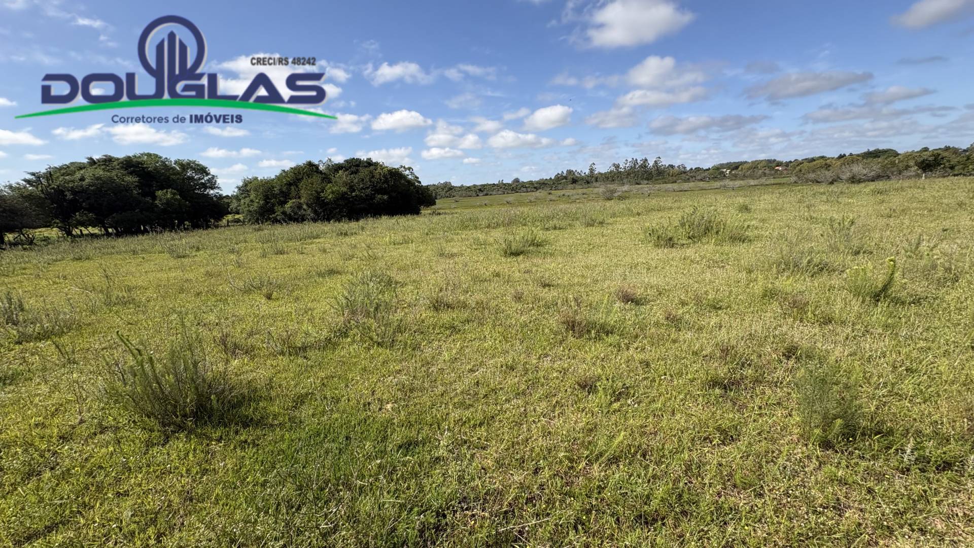 Terreno, 6 hectares - Foto 22