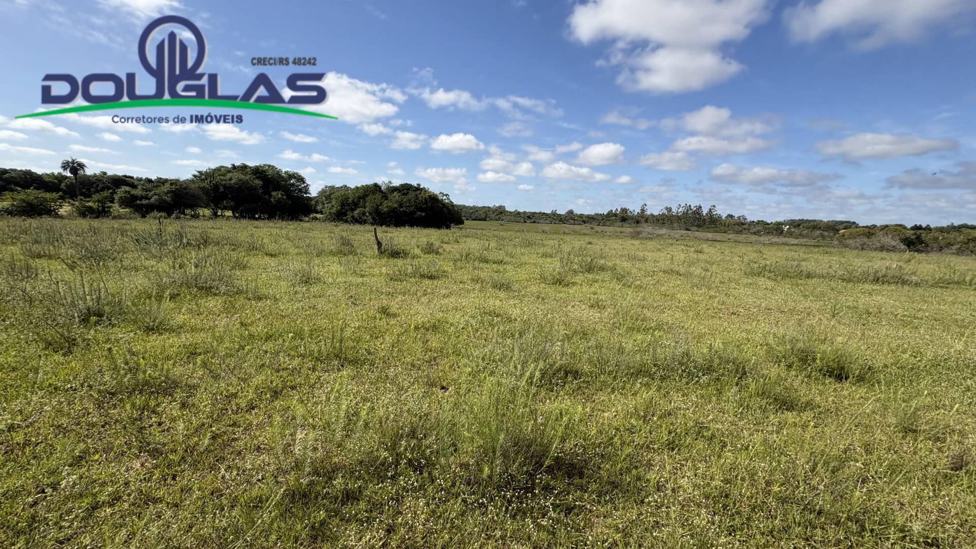 Terreno, 6 hectares - Foto 23