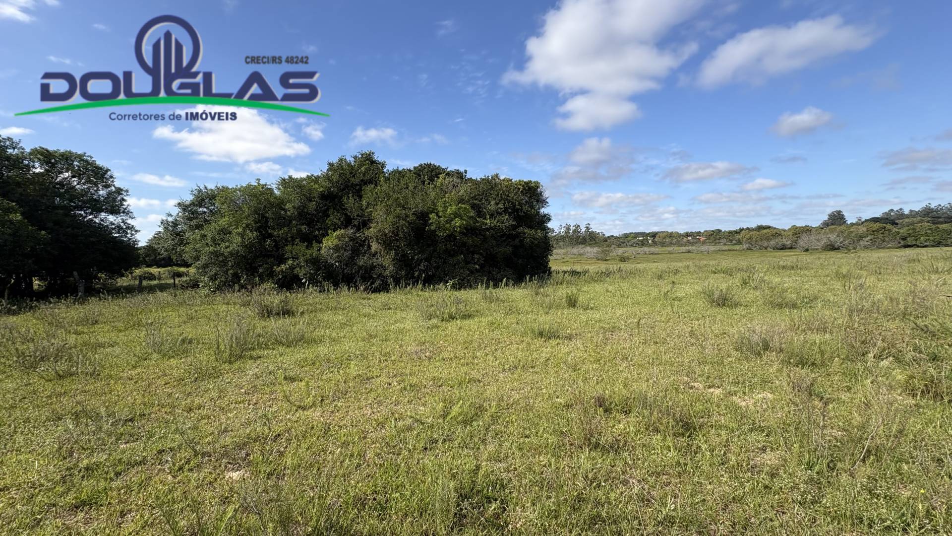 Terreno, 6 hectares - Foto 24