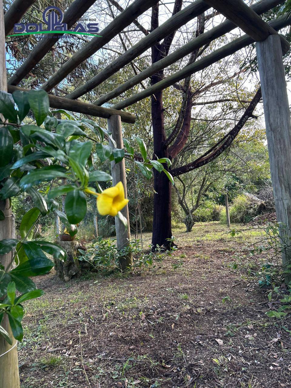 Casa, 3 quartos - Foto 9