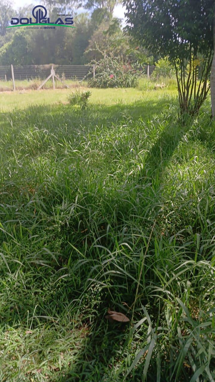 Terreno, 2200 m² - Foto 5