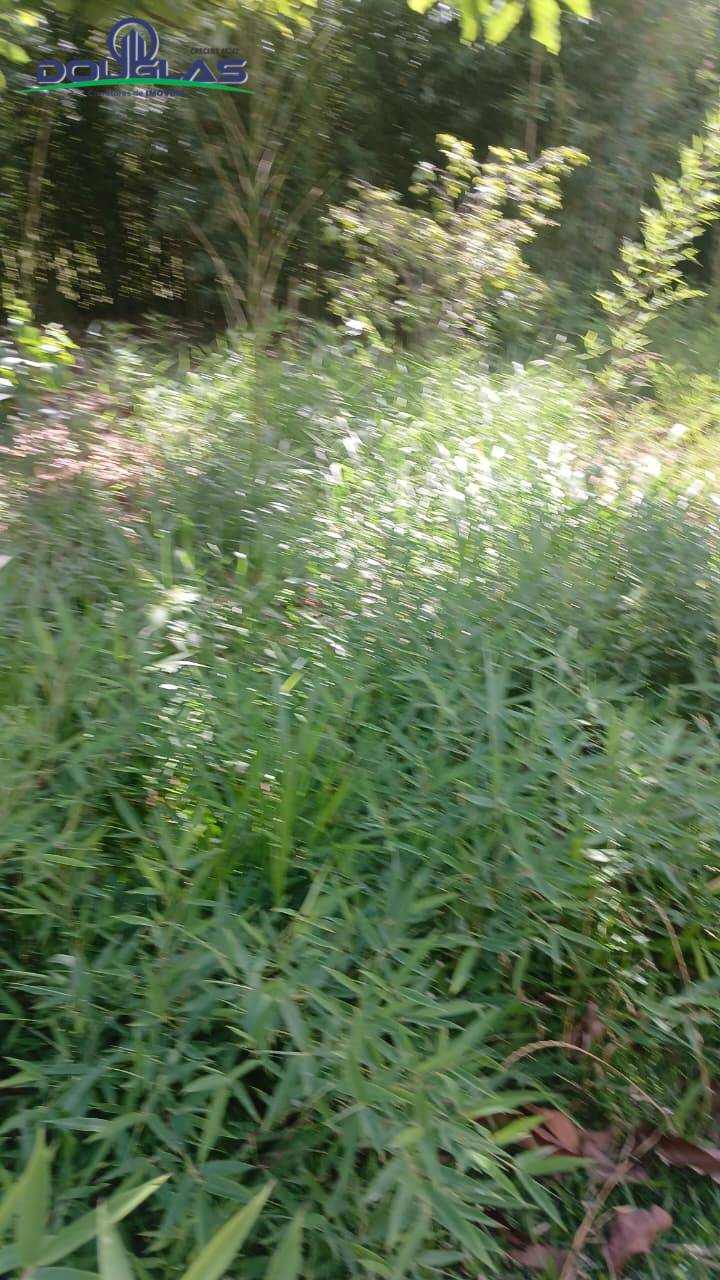 Terreno, 2200 m² - Foto 7