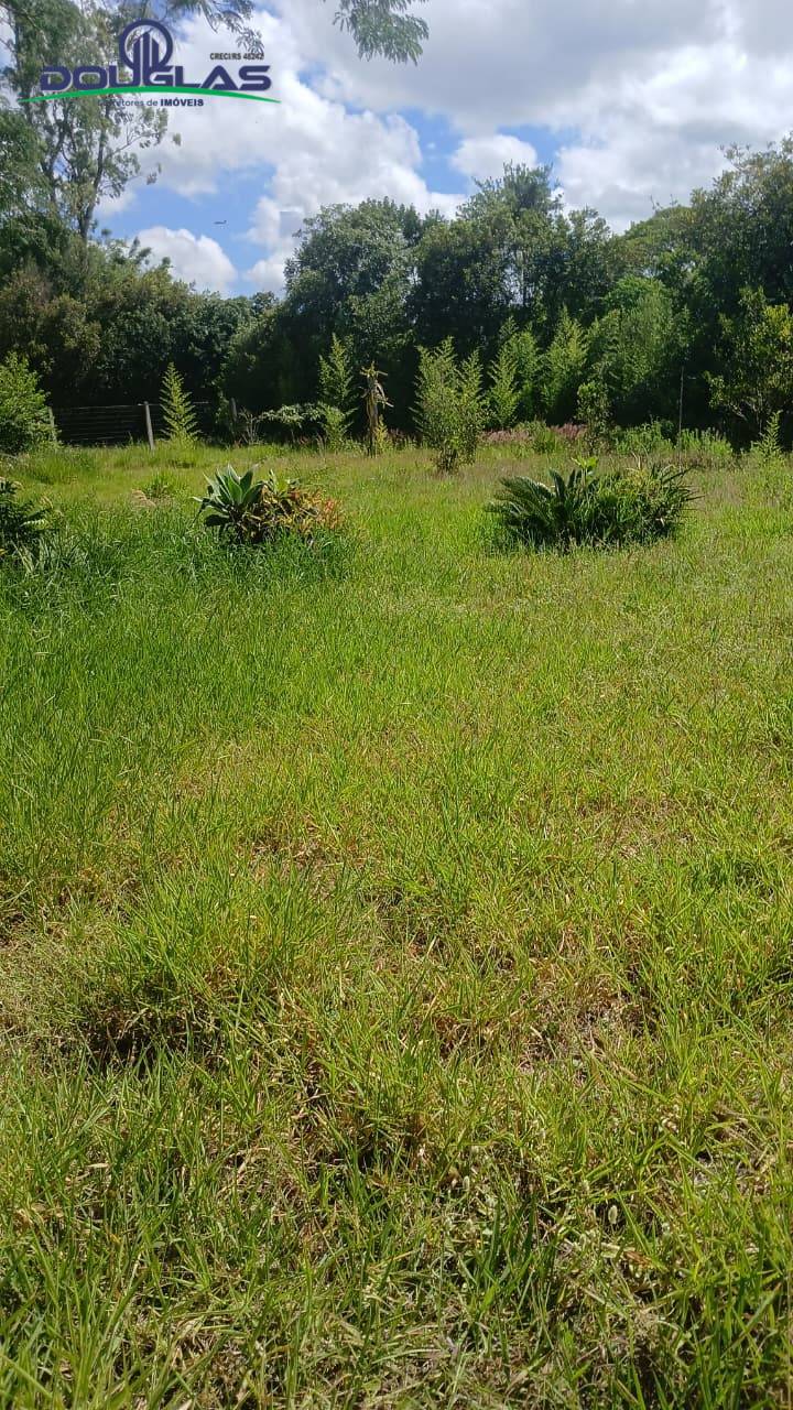 Terreno, 2200 m² - Foto 6