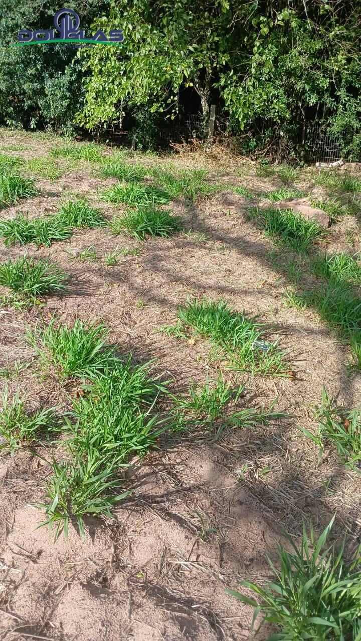 Terreno, 300 m² - Foto 4