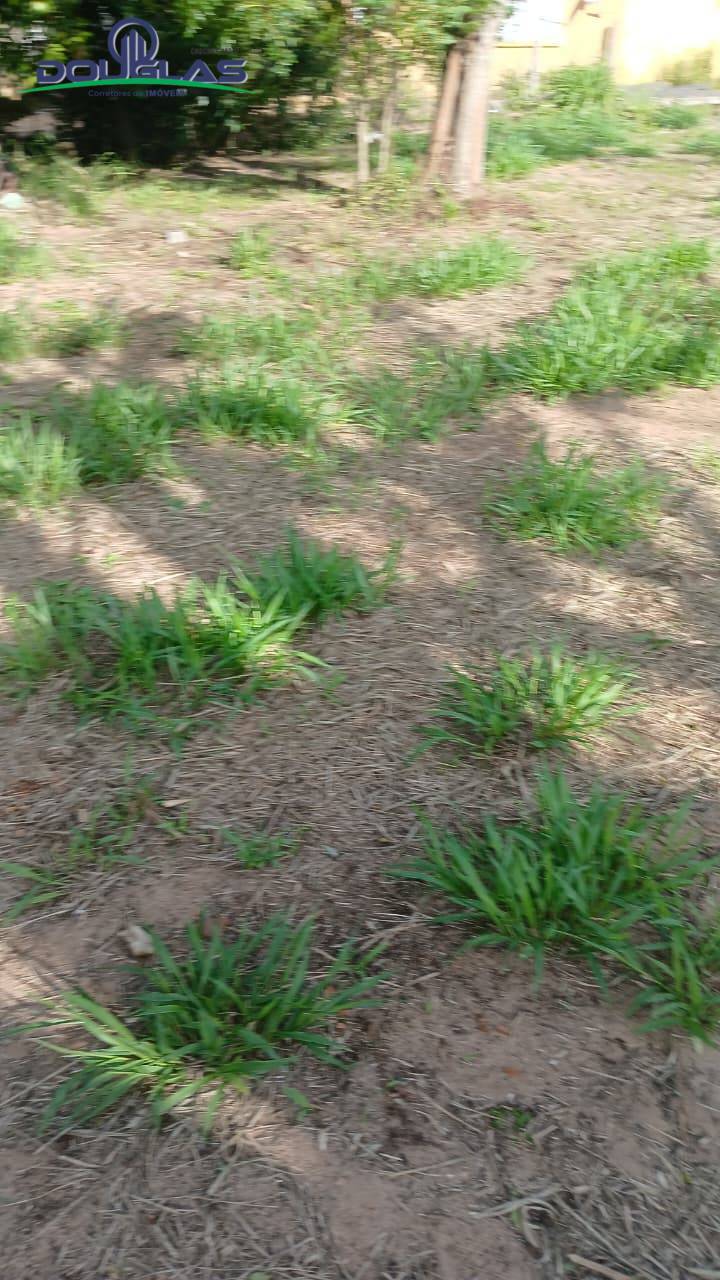 Terreno, 300 m² - Foto 3