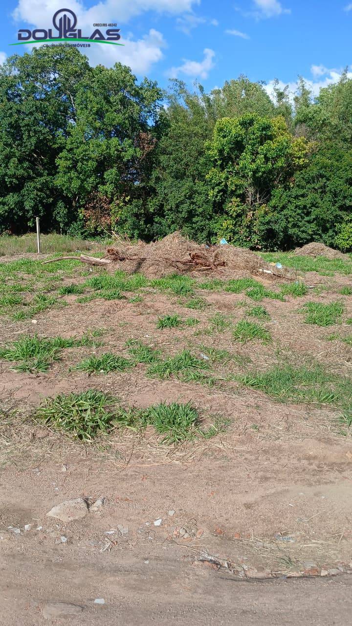 Terreno, 300 m² - Foto 4