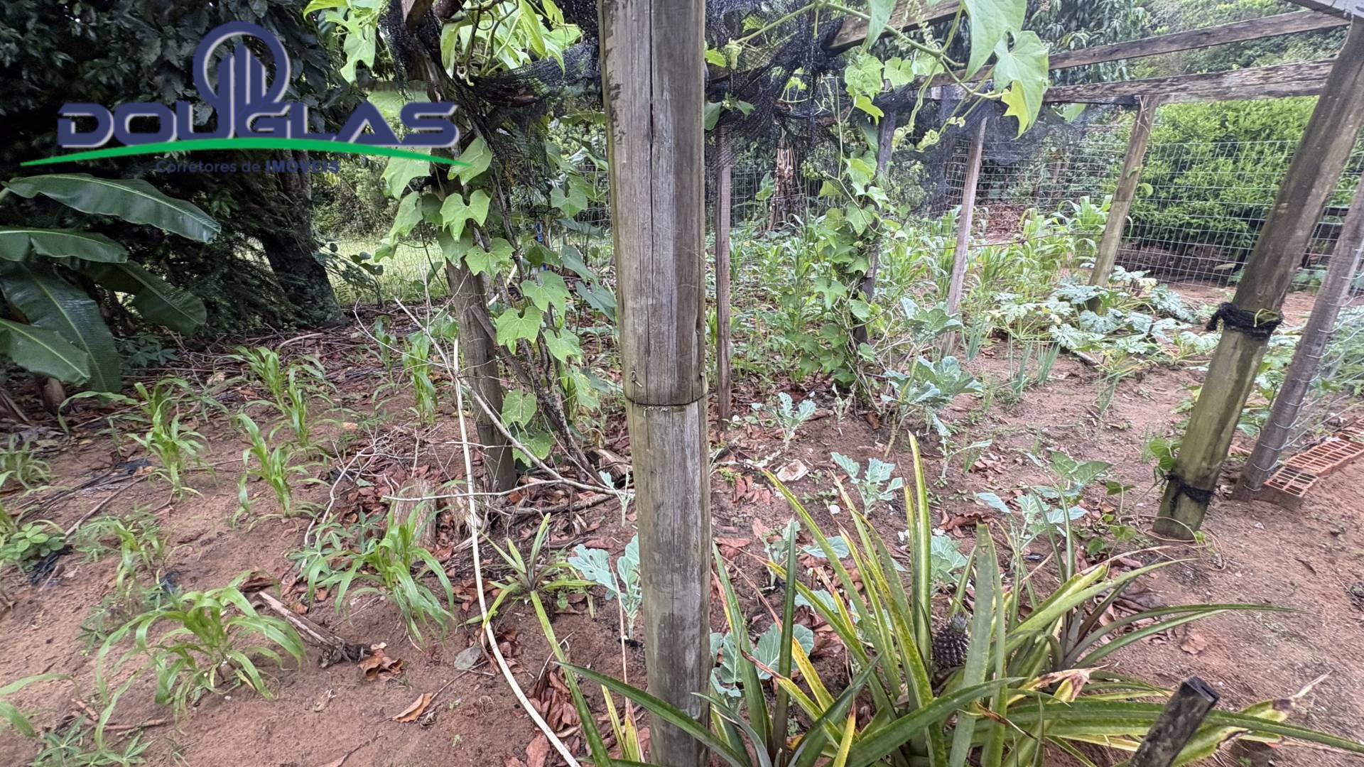 Casa, 4 quartos, 150 m² - Foto 19