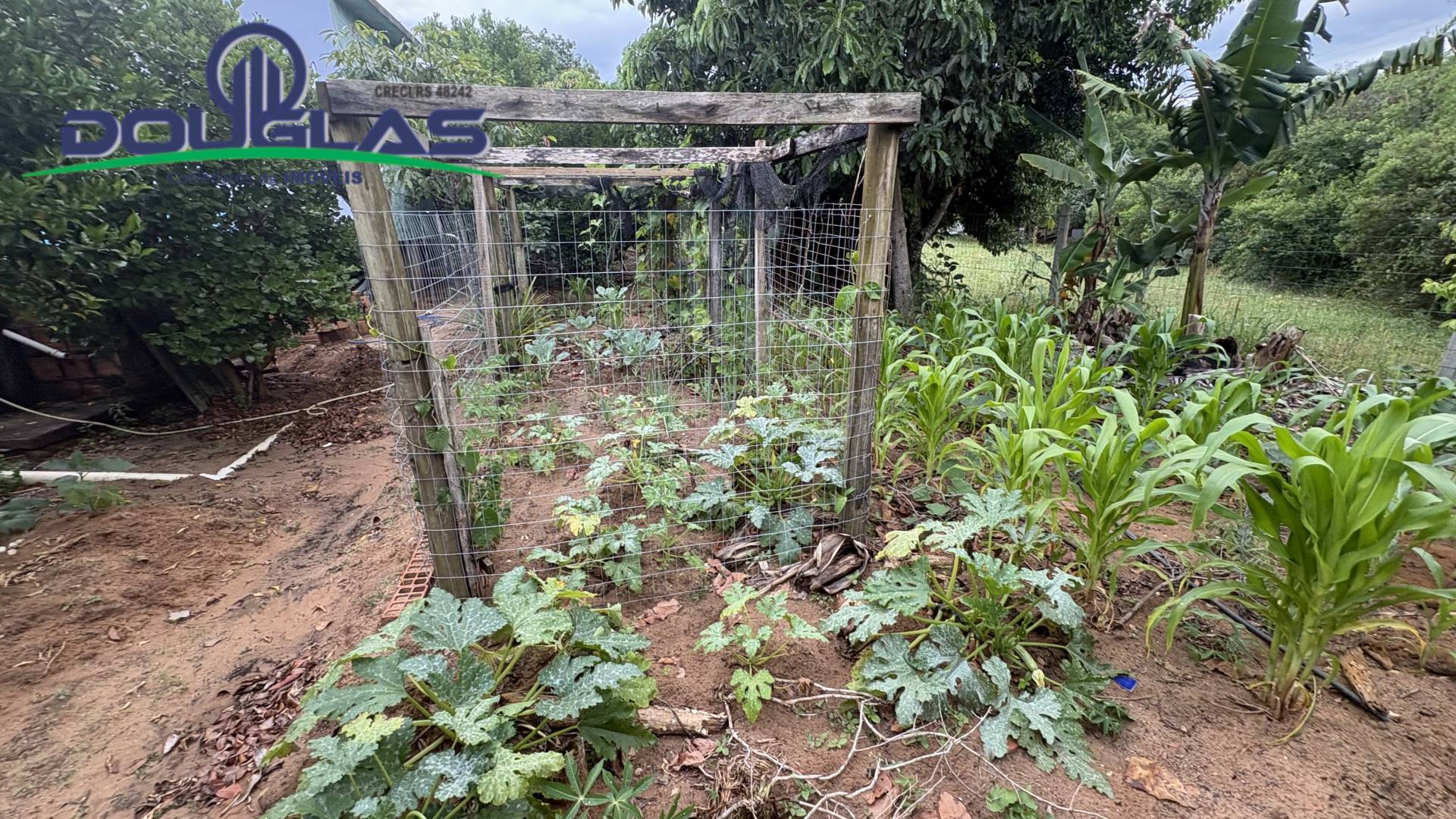 Casa, 4 quartos, 150 m² - Foto 26