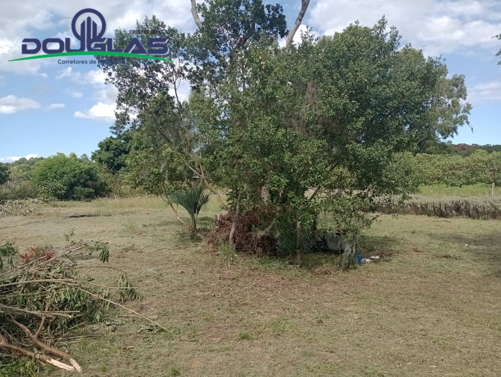 Casa, 2 quartos - Foto 9