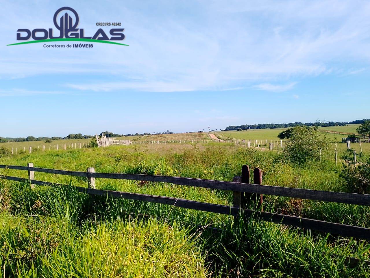 Terreno, 4 hectares - Foto 17