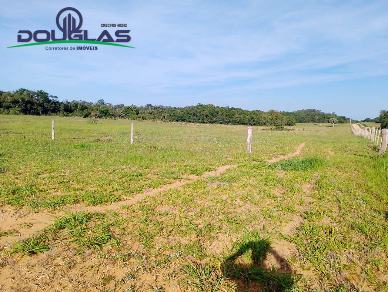 Terreno, 8 hectares - Foto 14