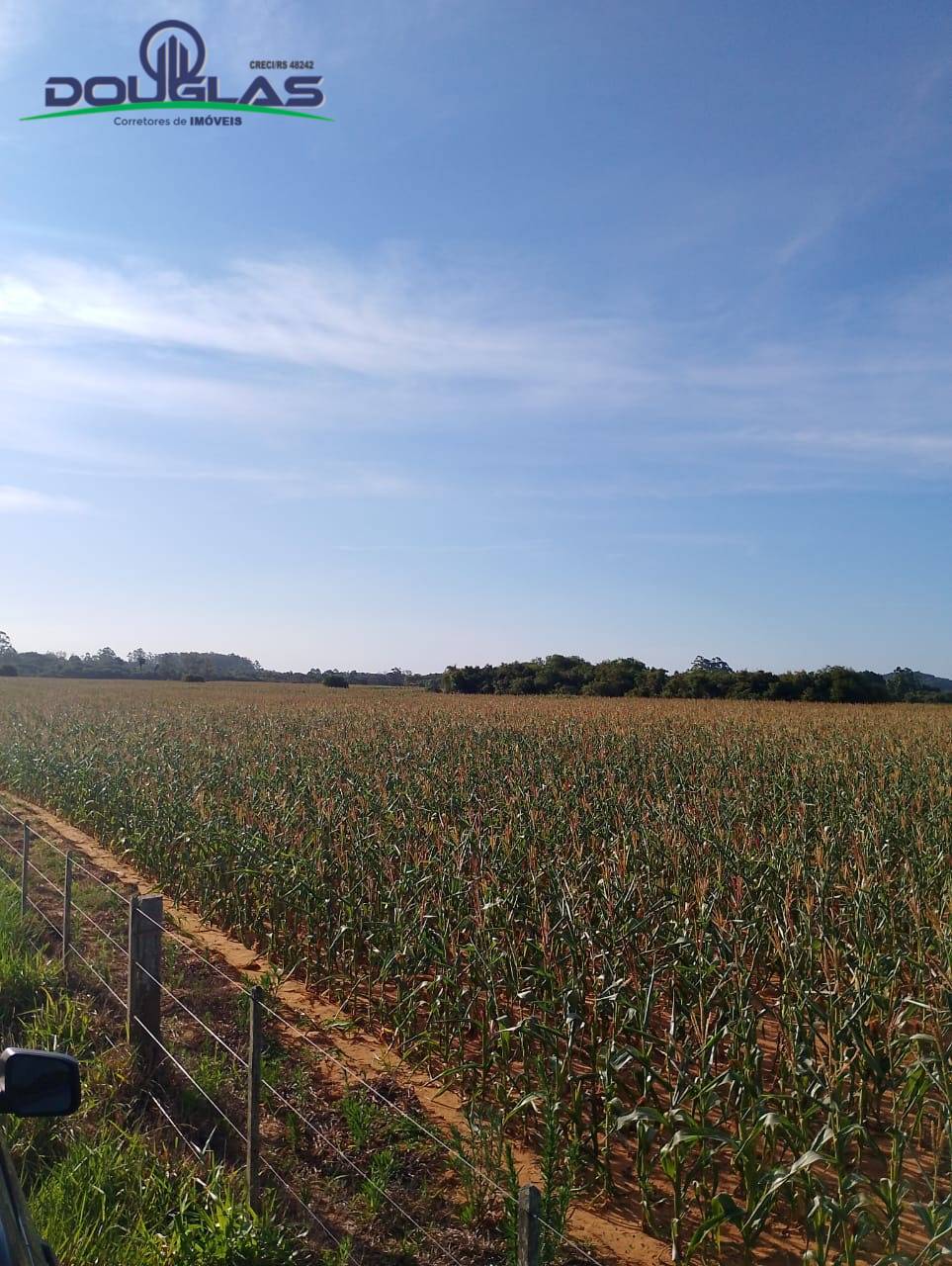 Terreno, 8 hectares - Foto 16