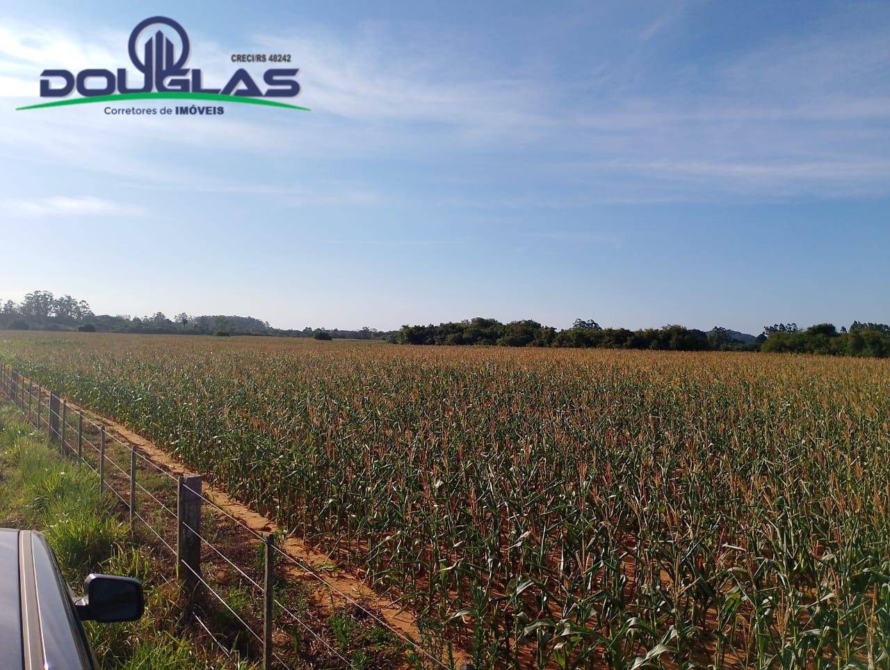 Terreno, 8 hectares - Foto 17