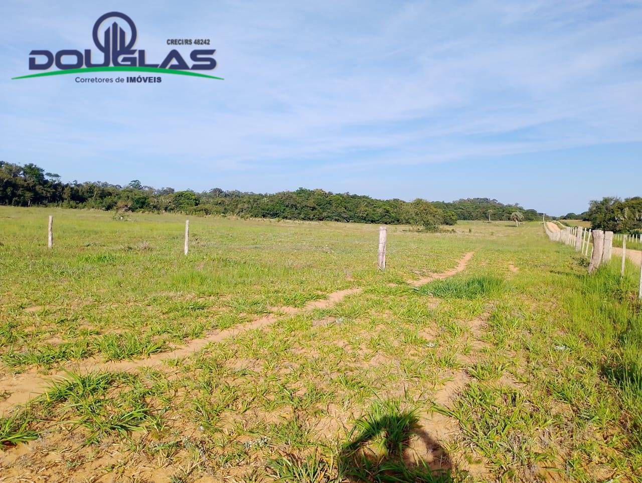 Terreno, 8 hectares - Foto 19