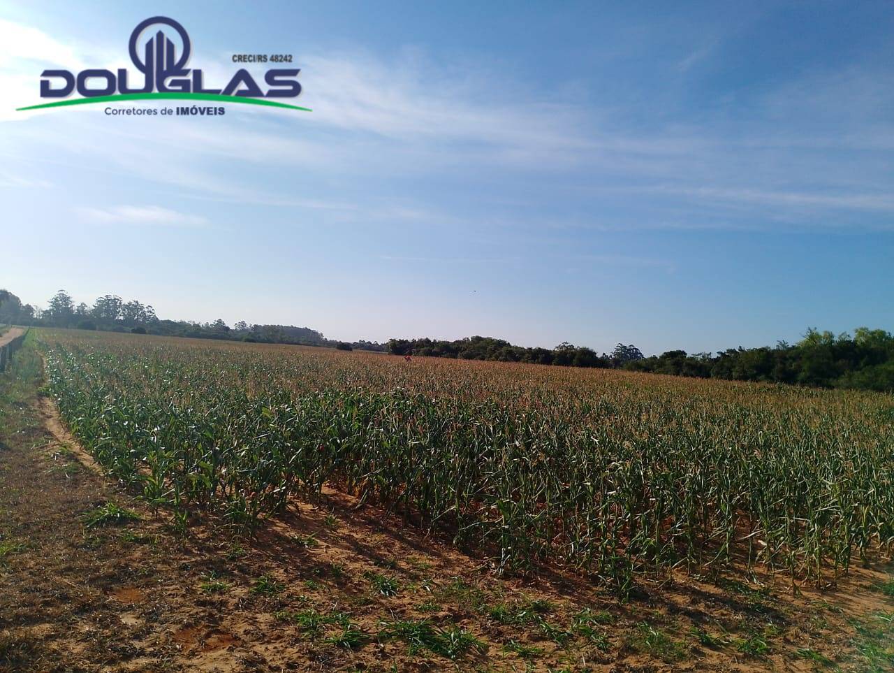 Terreno, 8 hectares - Foto 18