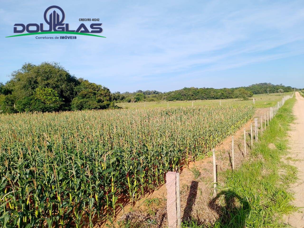 Terreno, 8 hectares - Foto 21