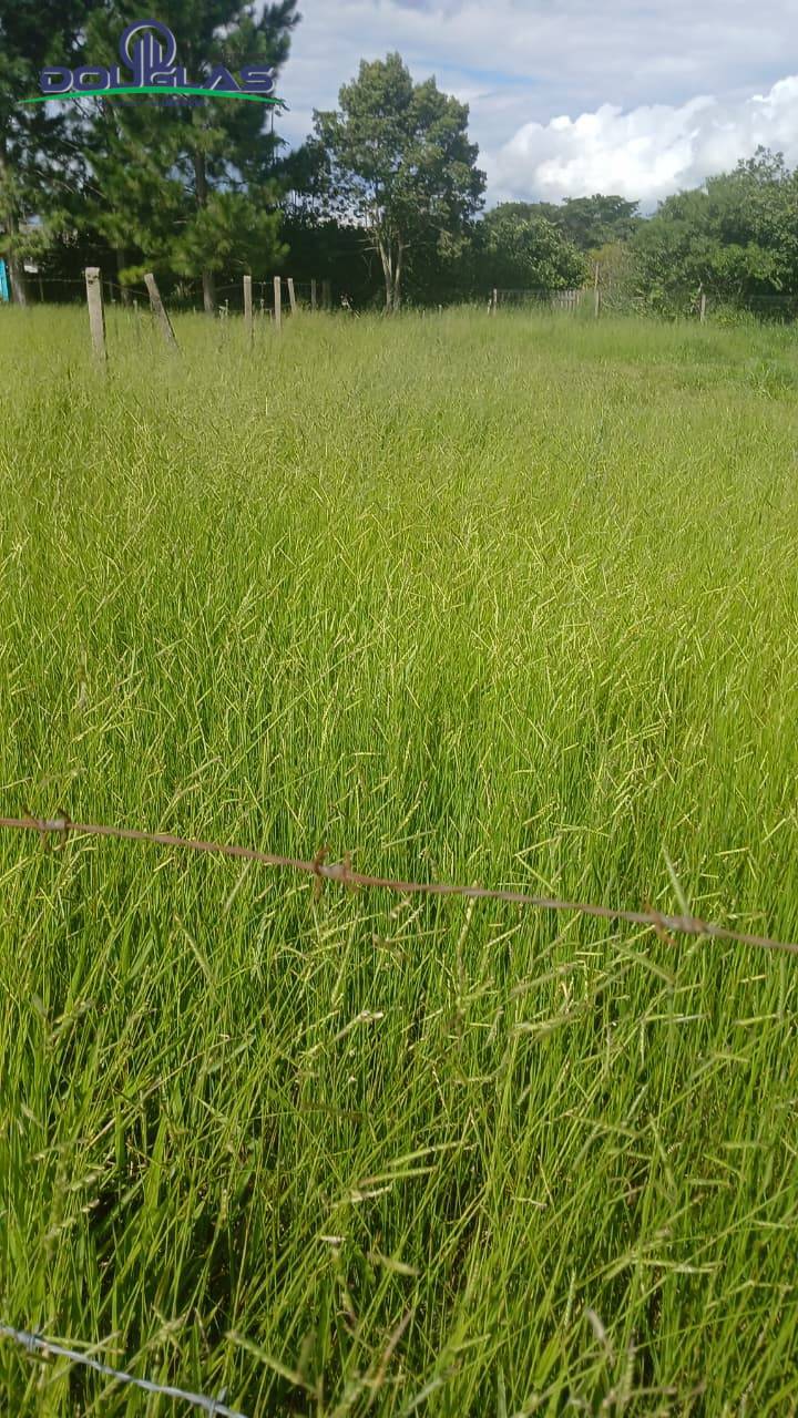 Terreno, 360 m² - Foto 2