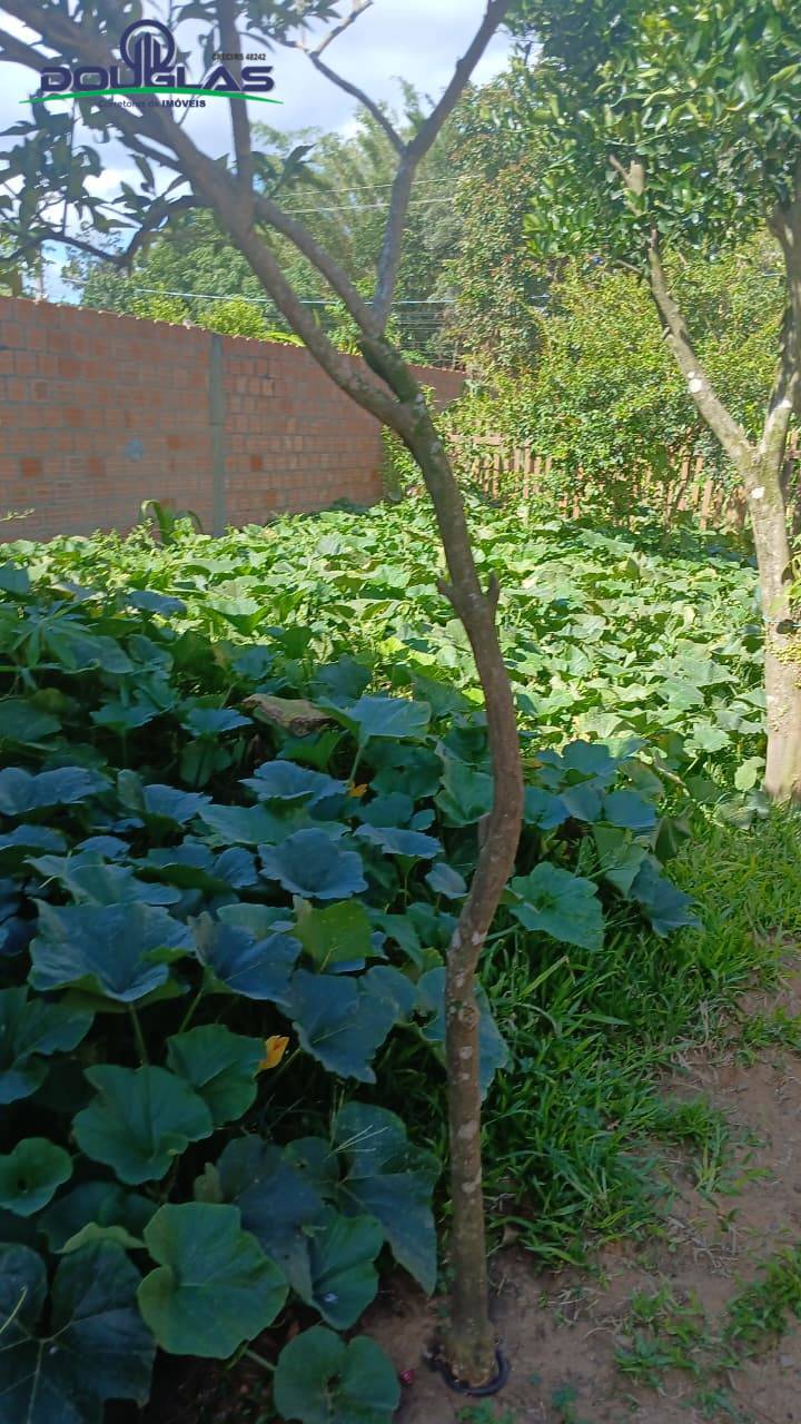 Casa, 2 quartos - Foto 16