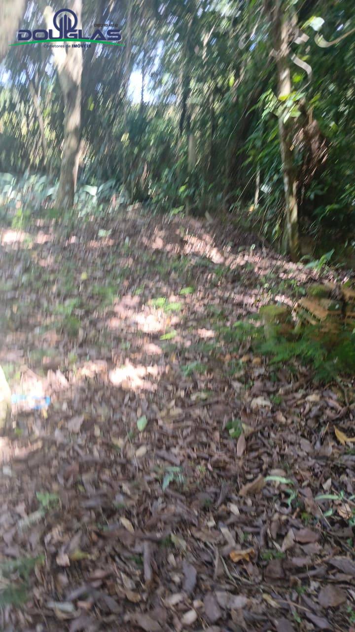 Casa, 1 quarto - Foto 13