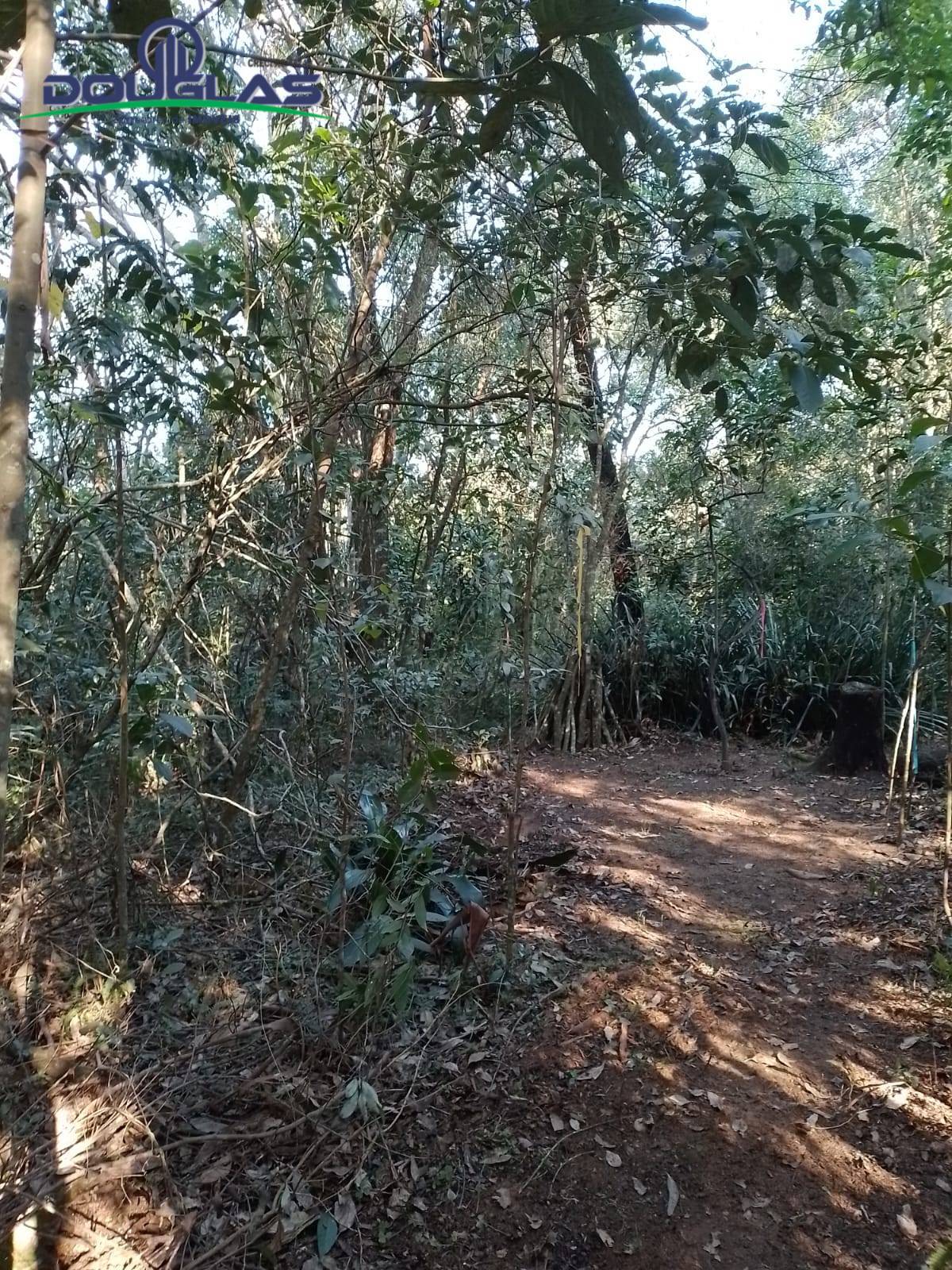 Casa, 1 quarto - Foto 15