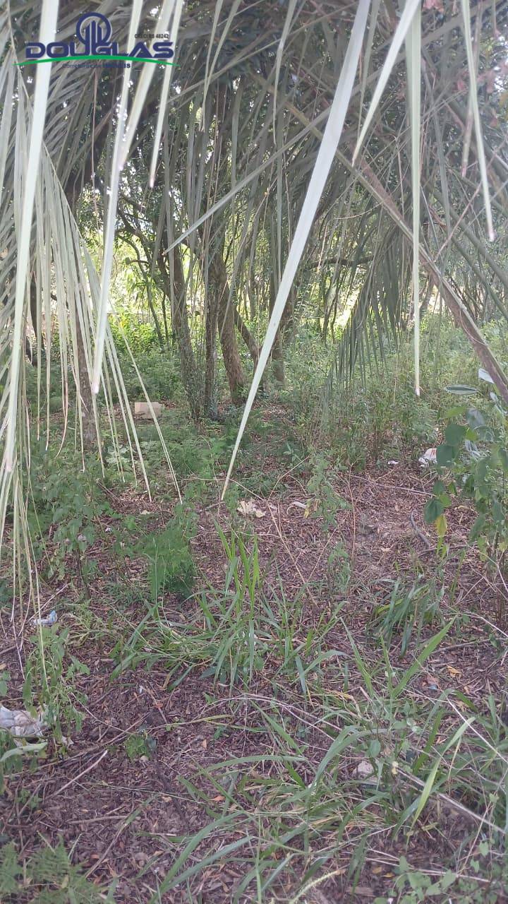 Terreno, 520 m² - Foto 2