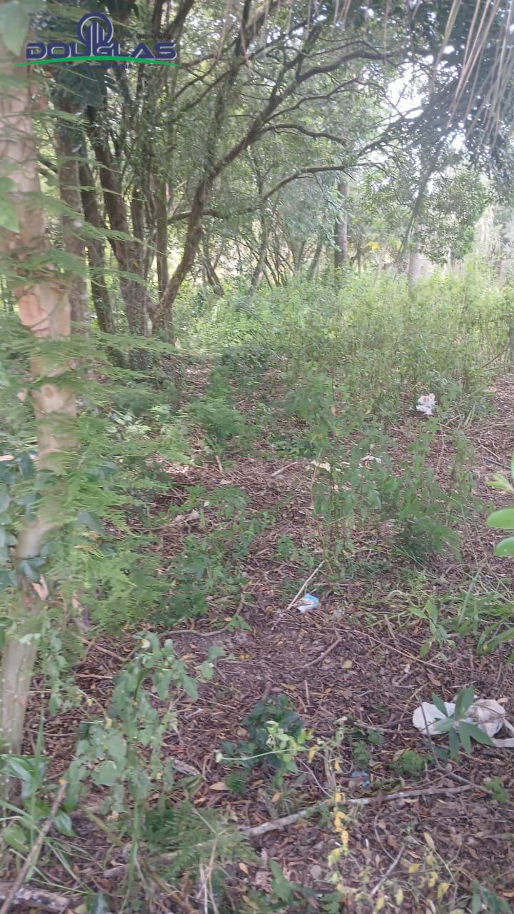 Terreno, 520 m² - Foto 4