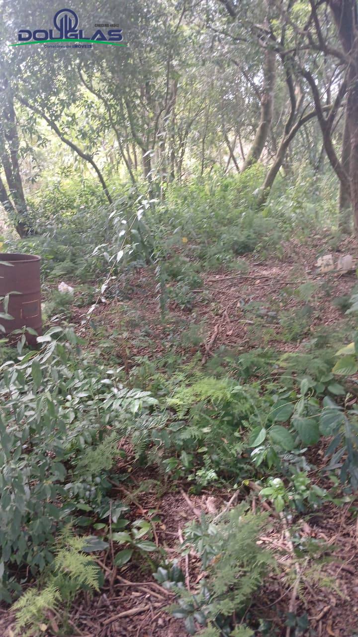 Terreno, 520 m² - Foto 5