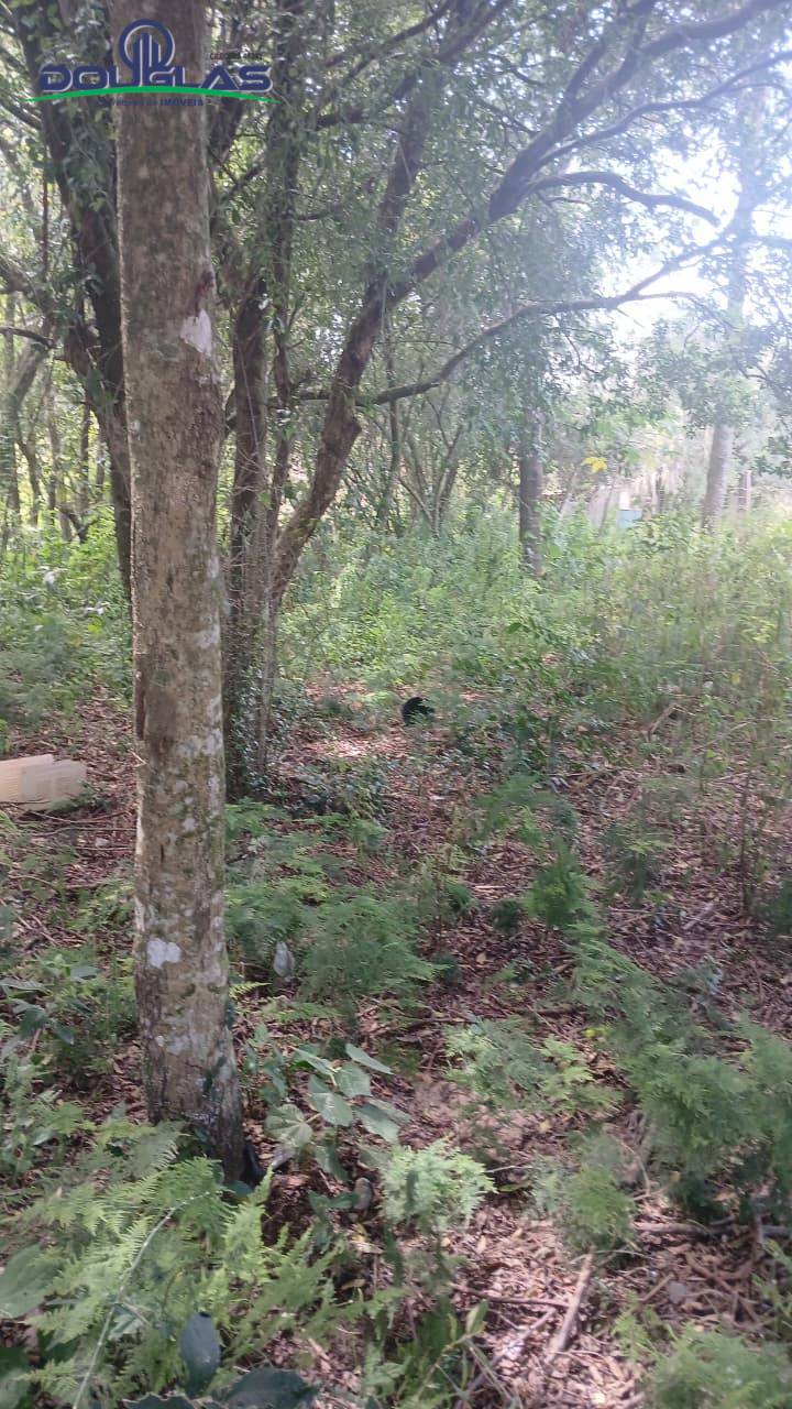 Terreno, 520 m² - Foto 6