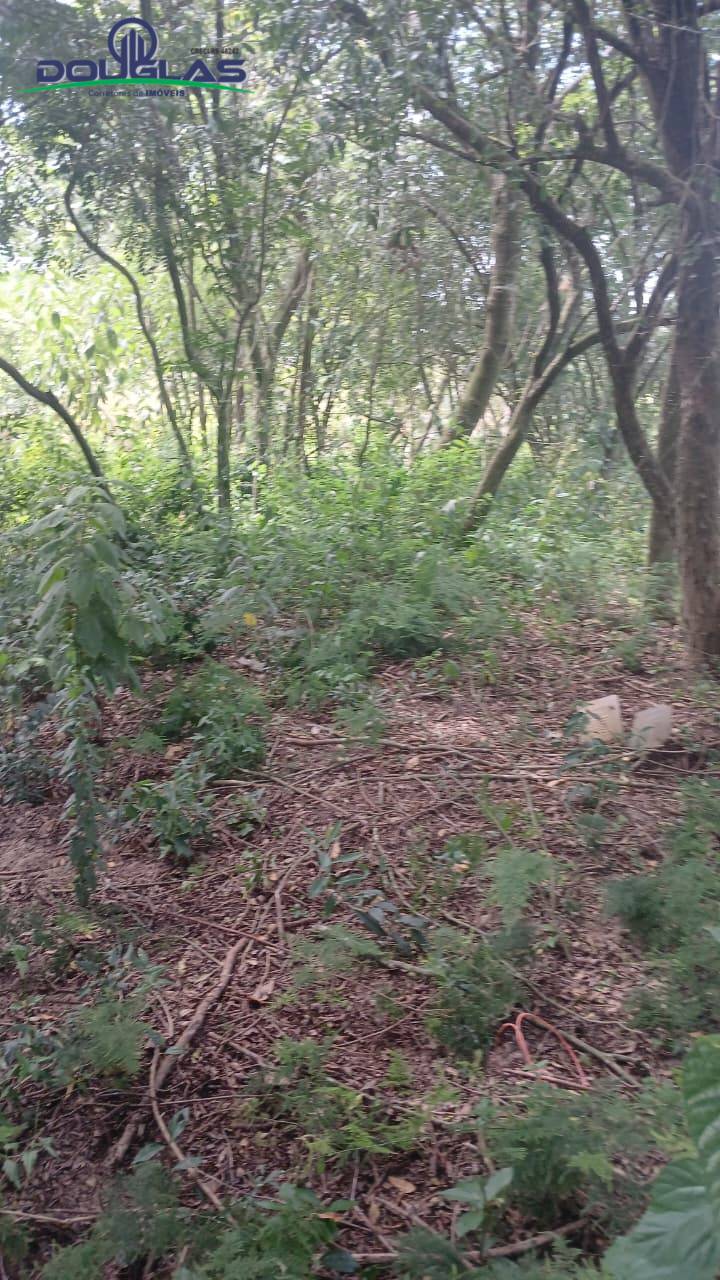 Terreno, 520 m² - Foto 7