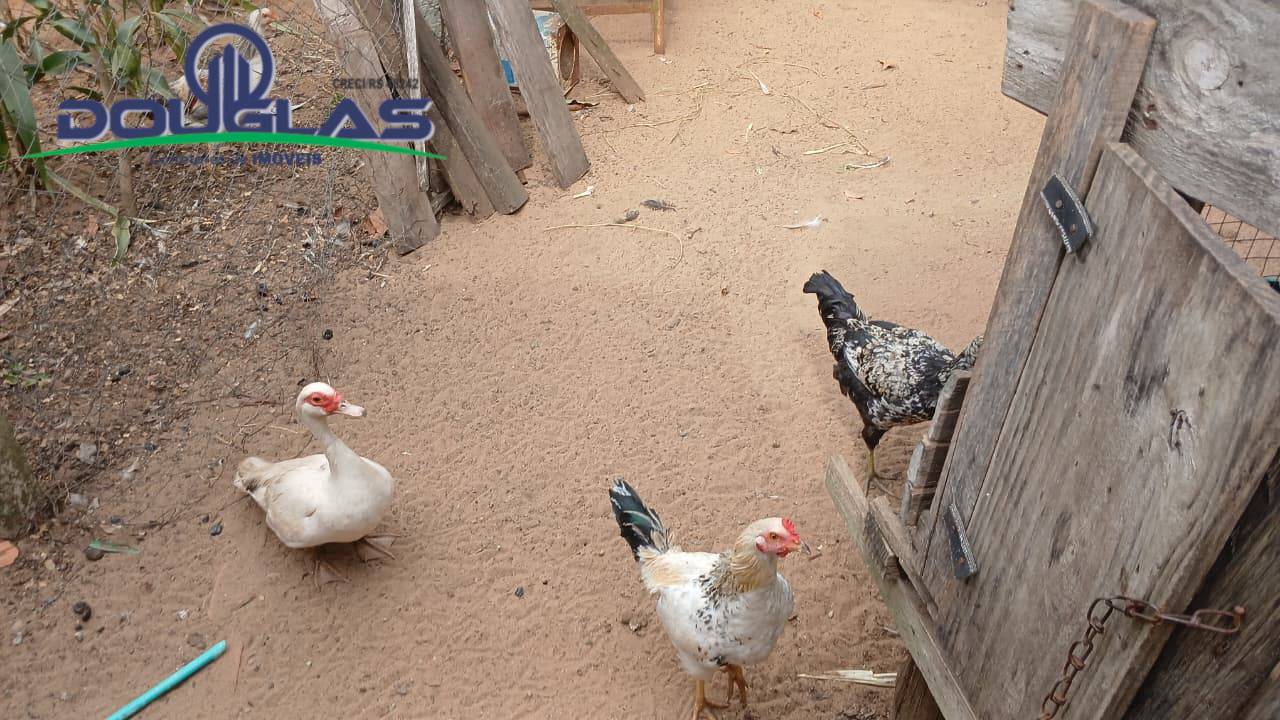 Casa, 2 quartos - Foto 12