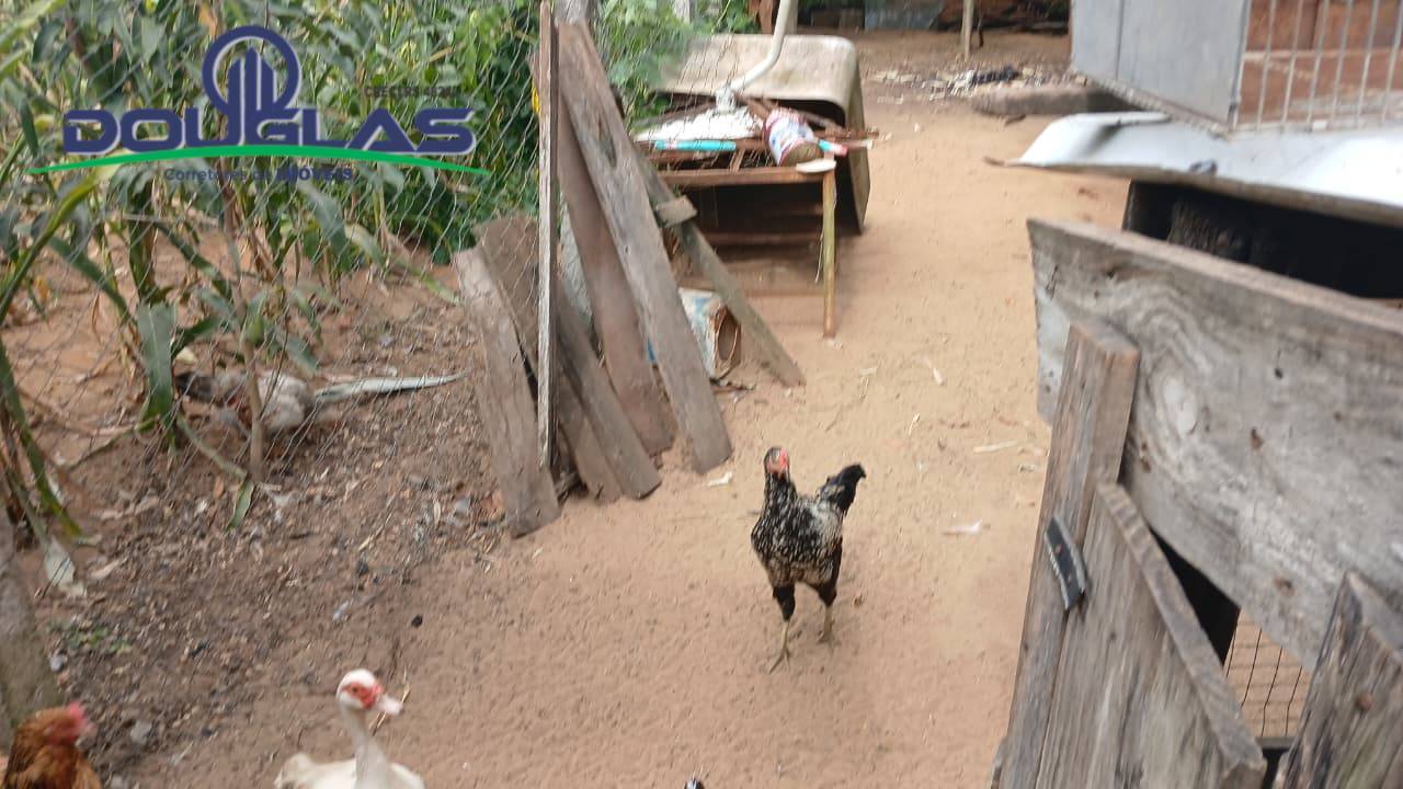 Casa, 2 quartos - Foto 13