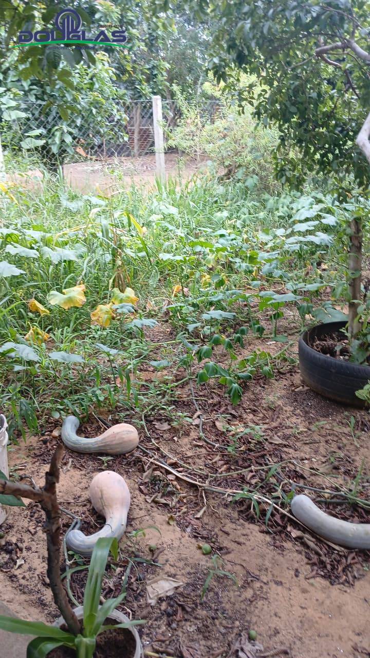 Casa, 3 quartos - Foto 16