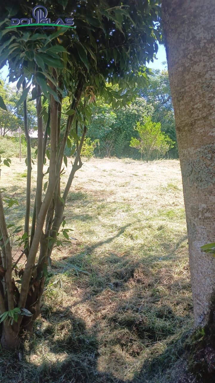 Terreno - Foto 1