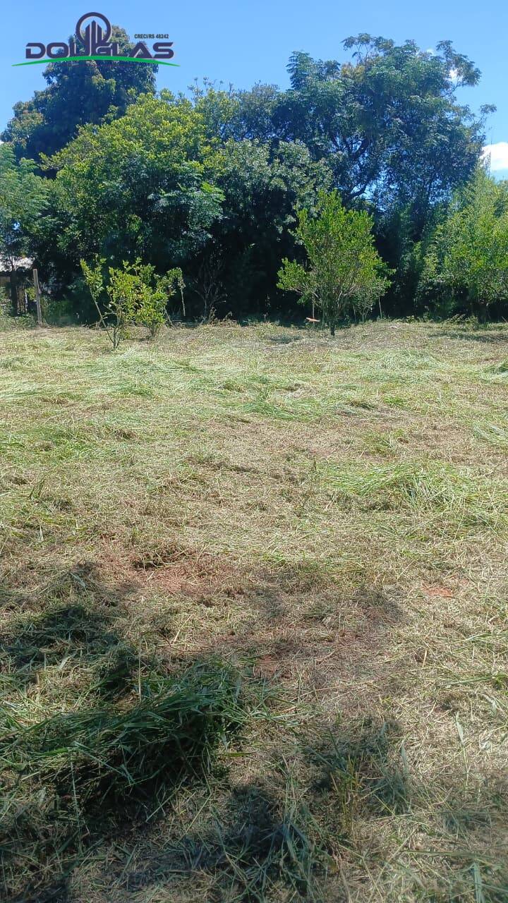 Terreno - Foto 2