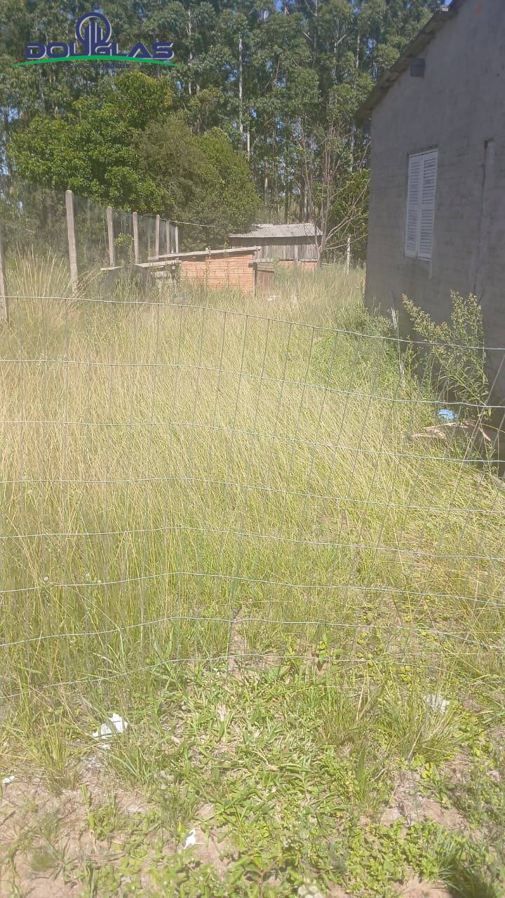 Sítio, 2 quartos, 2 hectares - Foto 12