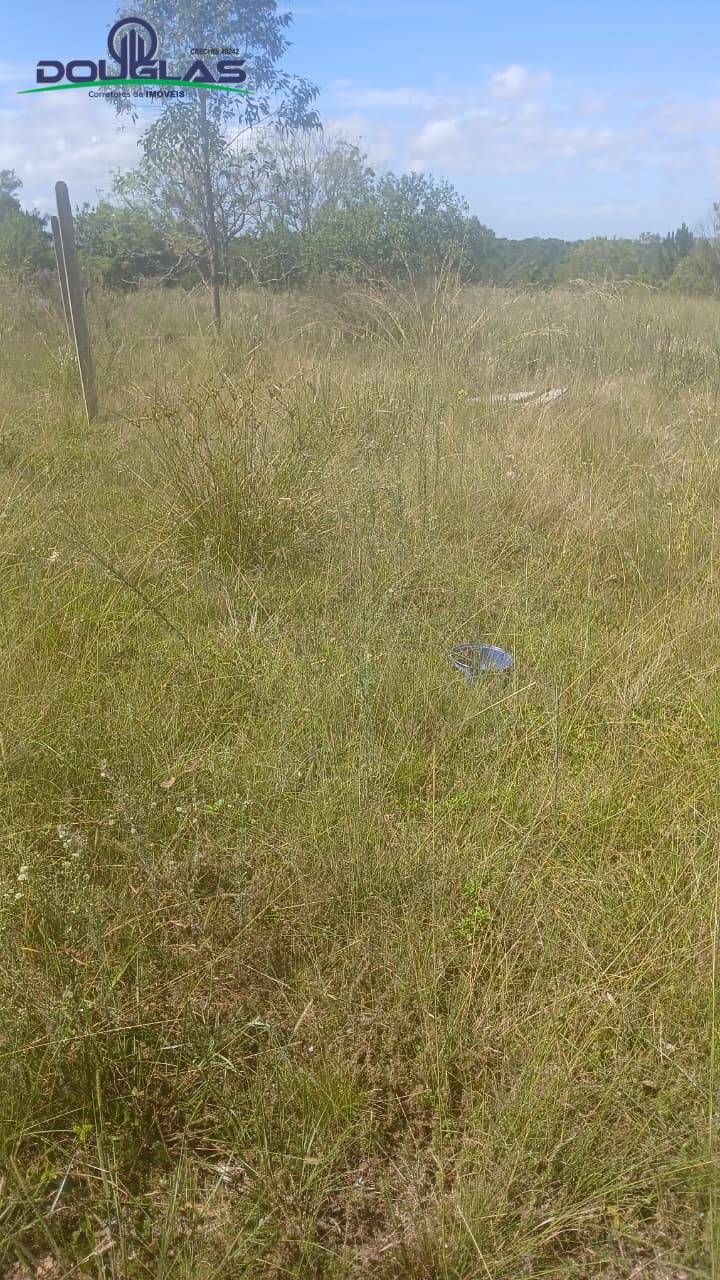 Sítio, 2 quartos, 2 hectares - Foto 15
