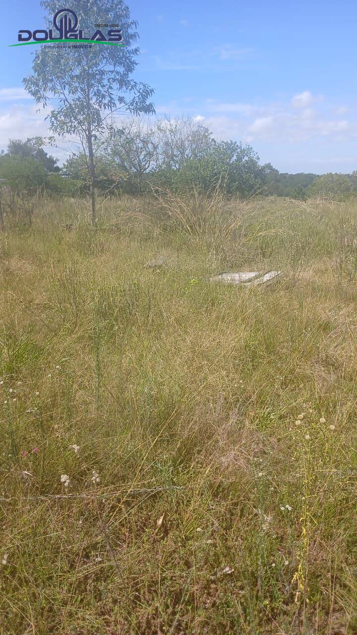 Sítio, 2 quartos, 2 hectares - Foto 16