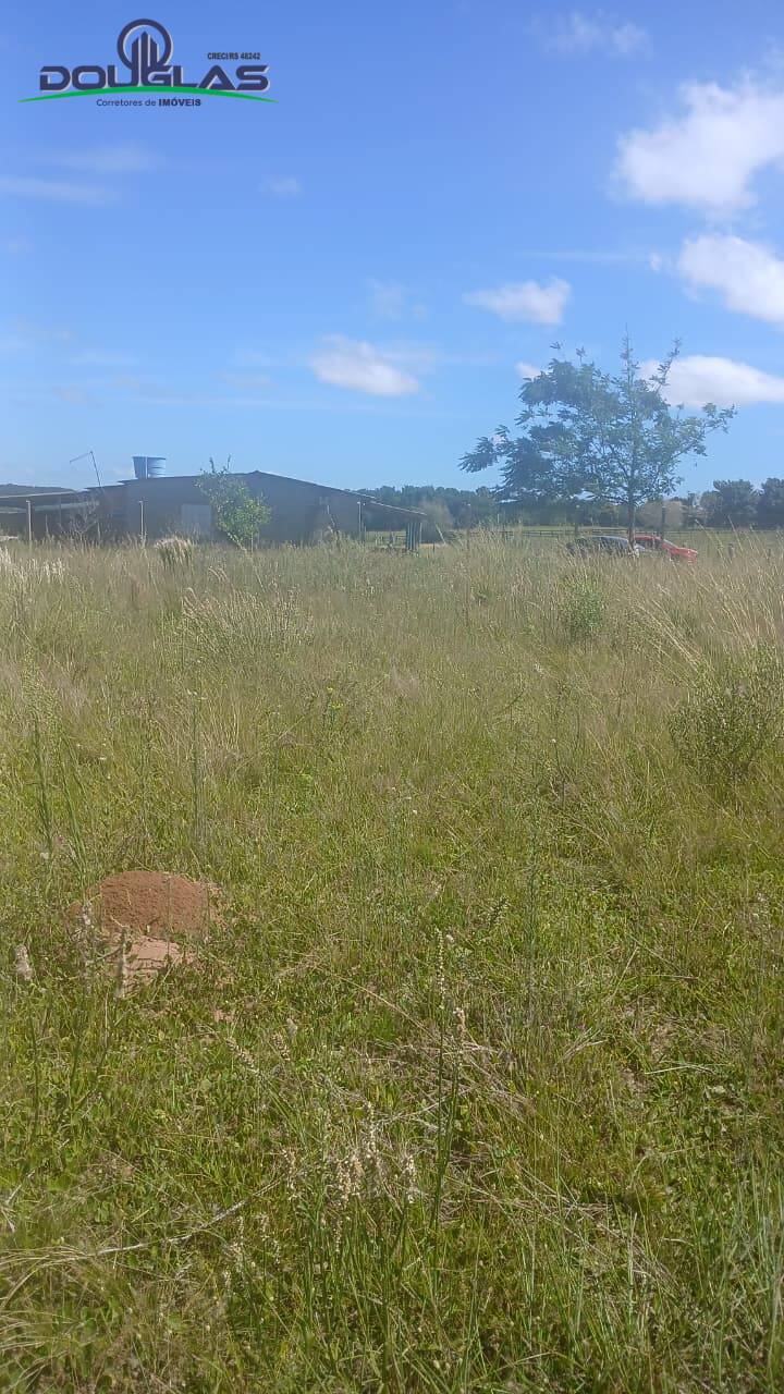 Sítio, 2 quartos, 2 hectares - Foto 17
