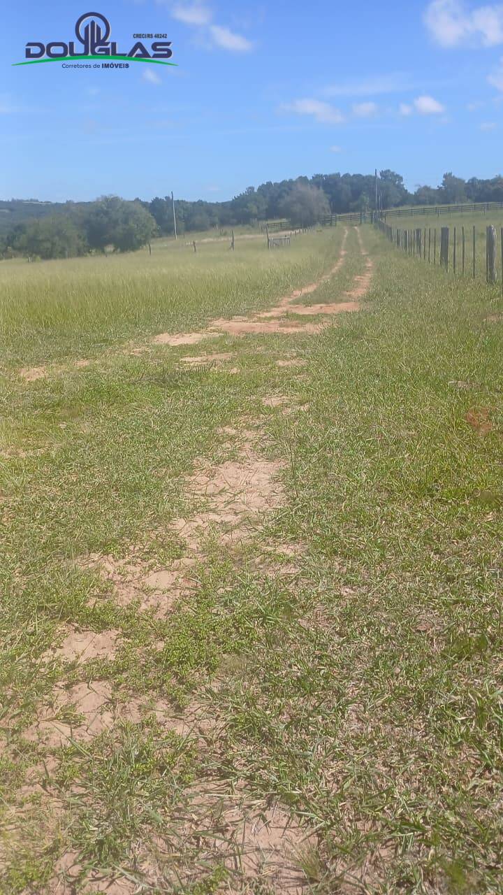 Sítio, 2 quartos, 2 hectares - Foto 18
