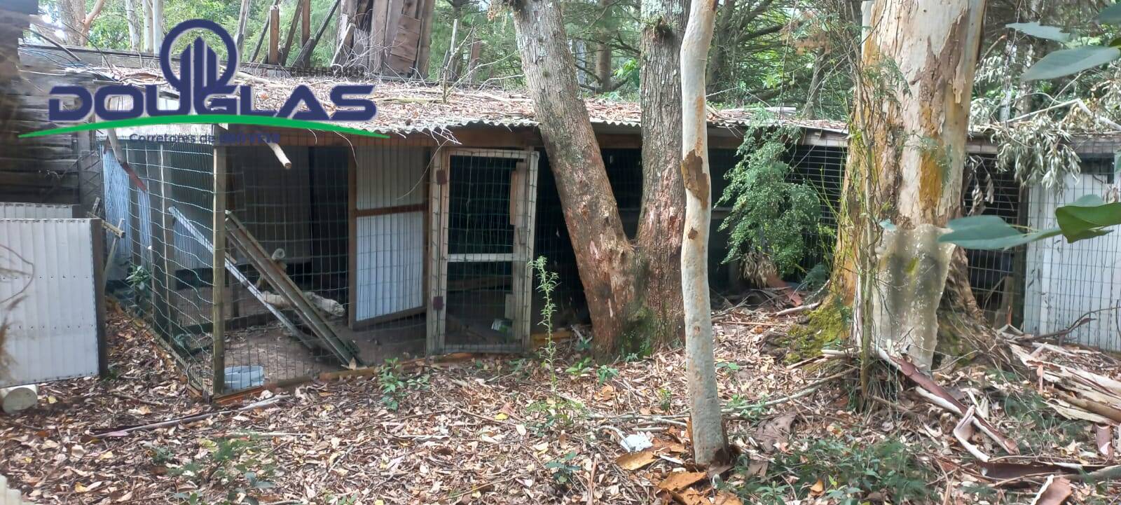 Terreno, 2000 m² - Foto 7