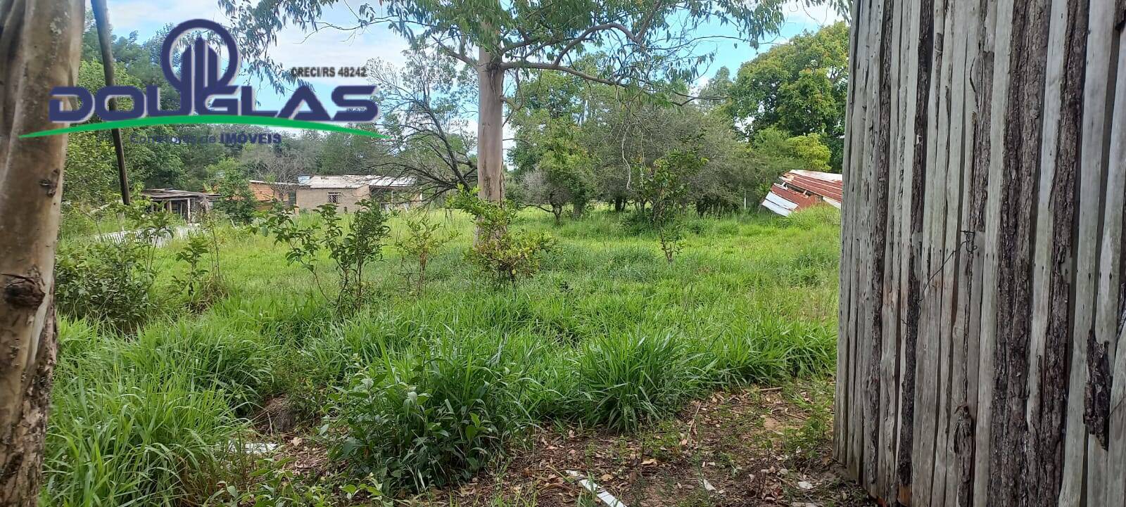 Terreno, 2000 m² - Foto 12