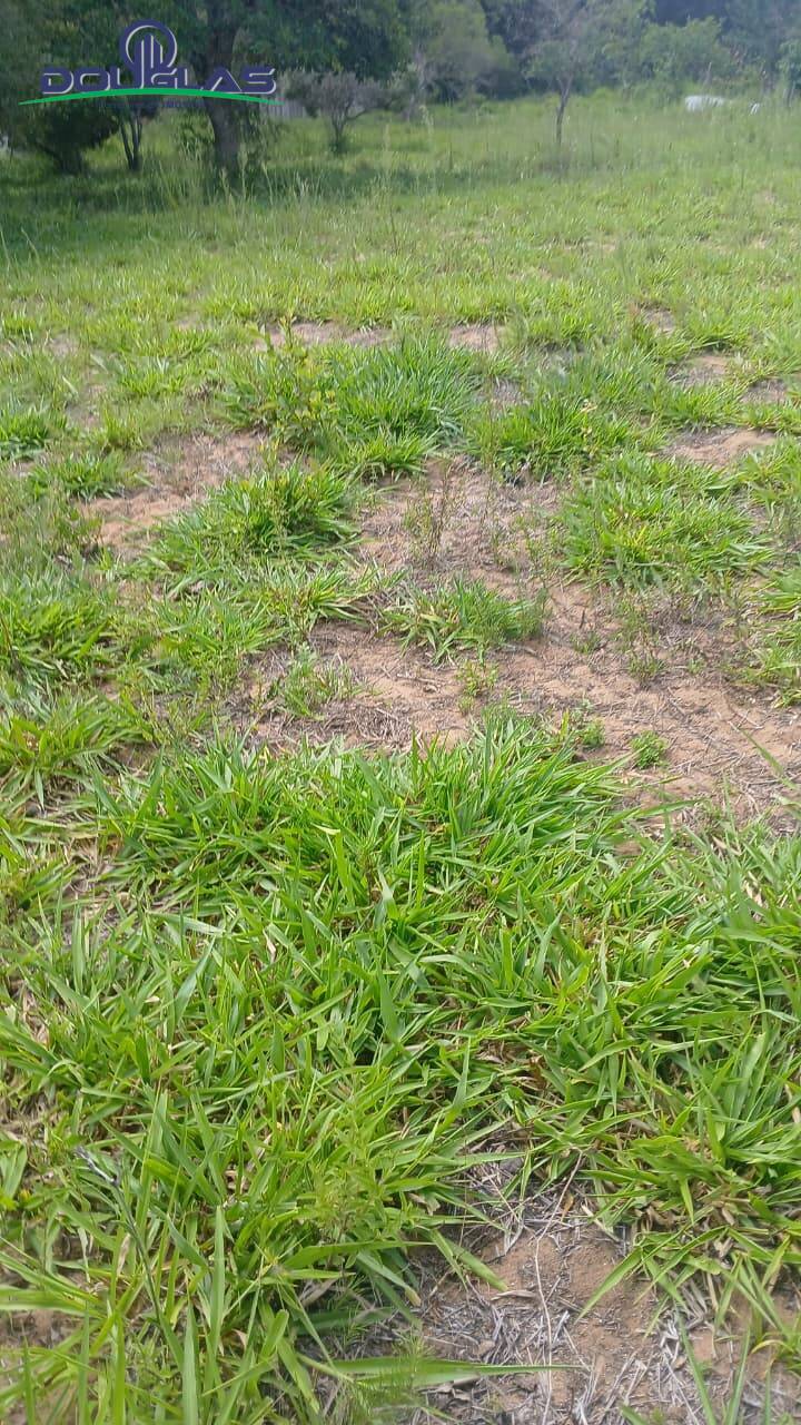 Terreno, 2000 m² - Foto 13