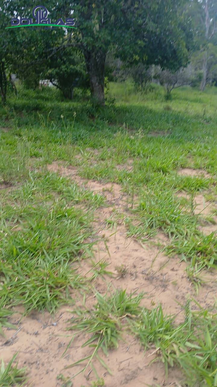 Terreno, 2000 m² - Foto 14