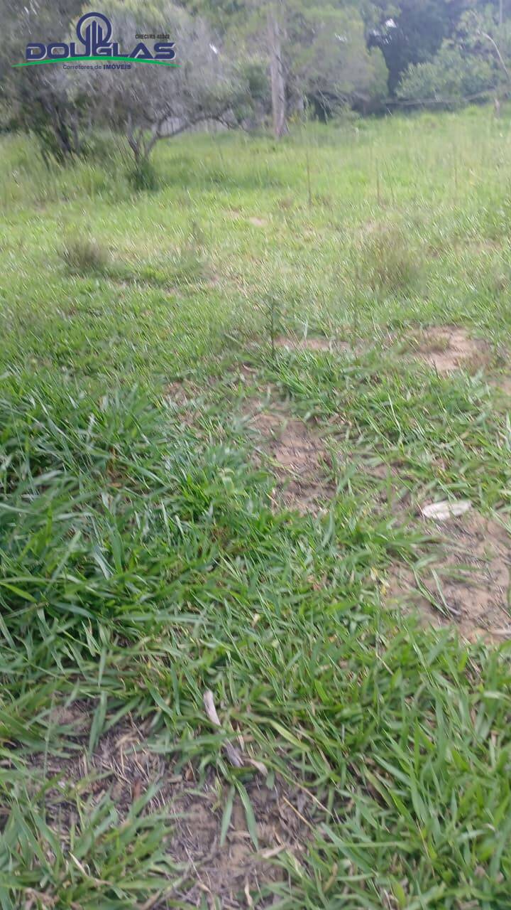 Terreno, 2000 m² - Foto 15