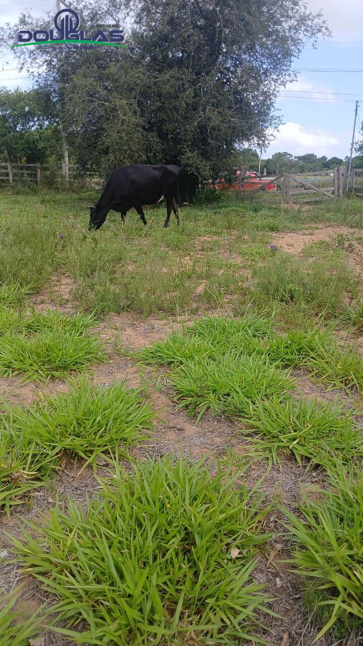 Terreno, 2000 m² - Foto 1