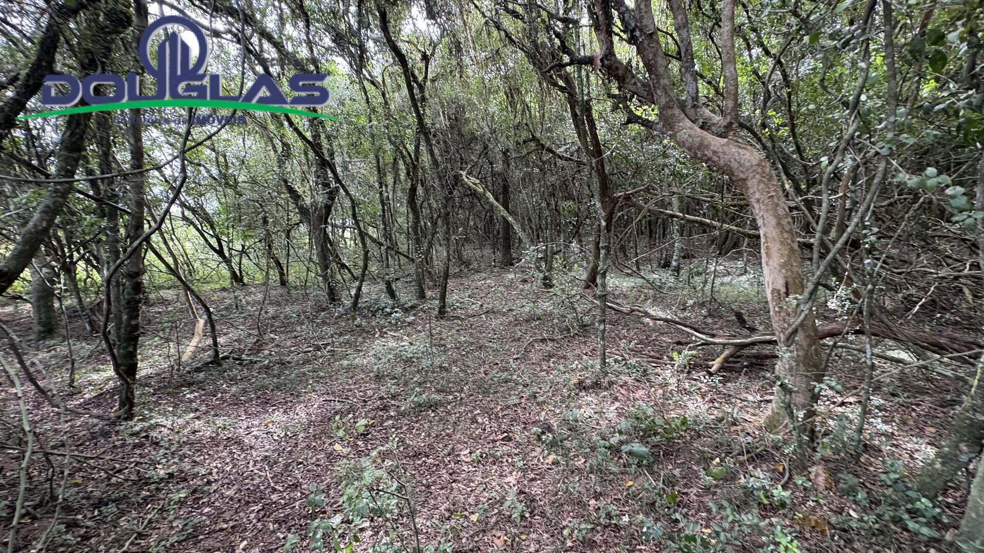 Terreno, 900 m² - Foto 6